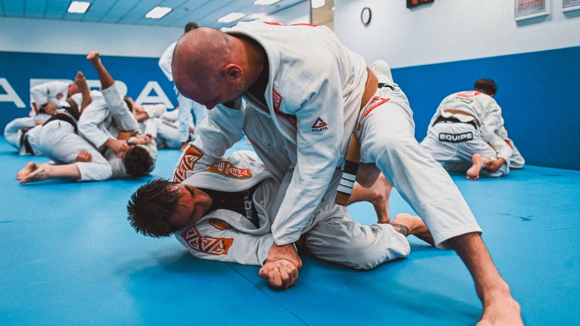 Adult Brazilian Jiu-Jitsu students practising positional training during a Gracie Barra class at Gracie Barra HQ Sydney in Frenchs Forest.