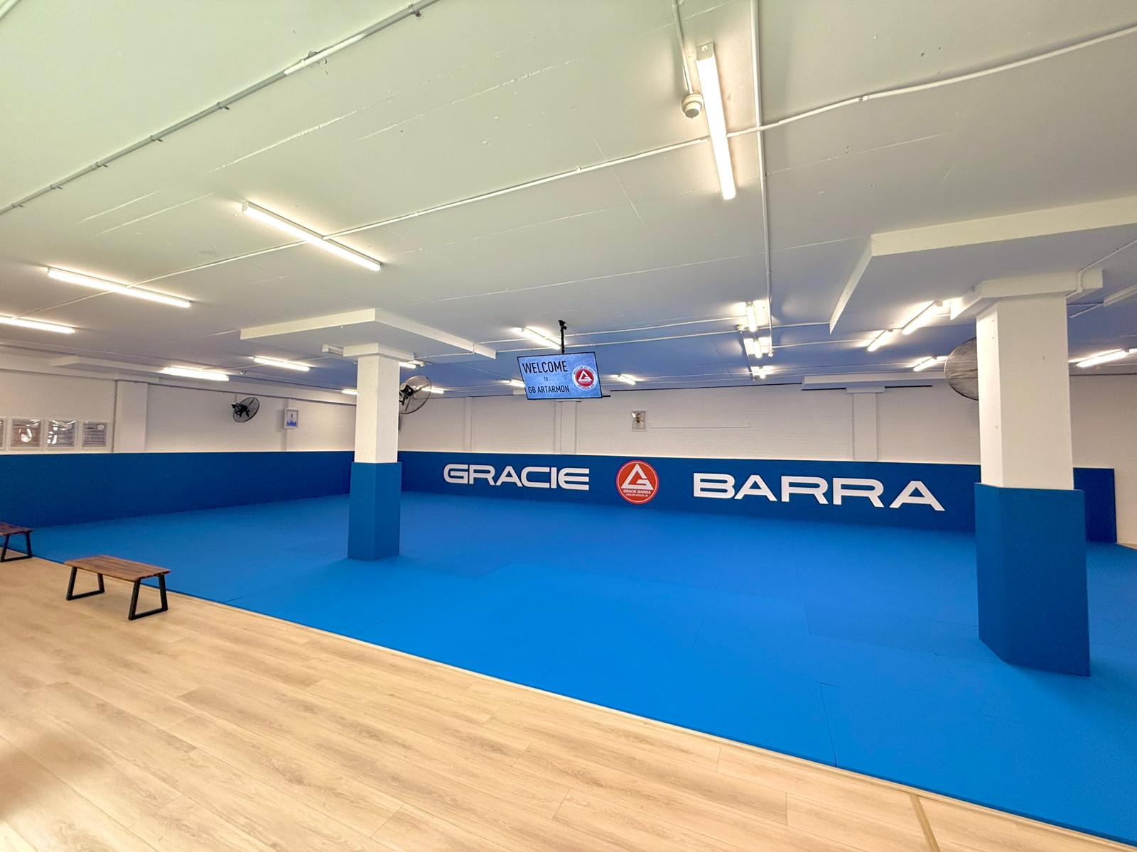 200 square metre Brazilian Jiu-Jitsu mat area at Gracie Barra Artarmon