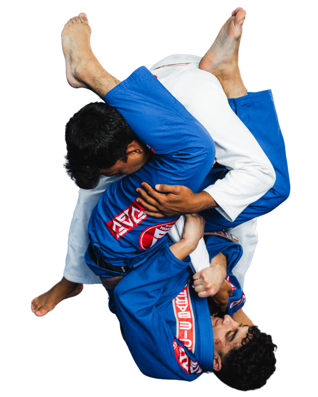 World Class Brazilian Jiu-Jitsu Gold Coast Two men in Gracie Barra gear performing Jiu-Jitsu
