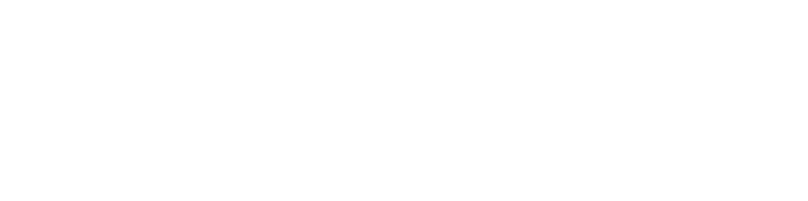 Gracie Barra